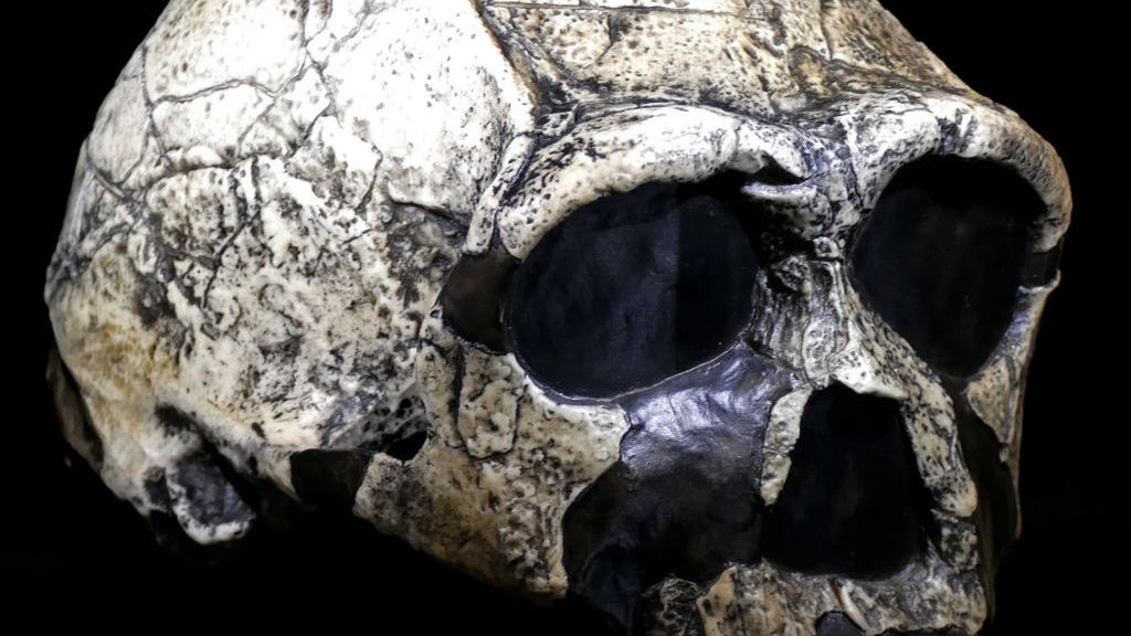 Bułgaria. Homo sapiens mieszkał obok Neandertalczyka. Przełomowe odkrycie naukowców