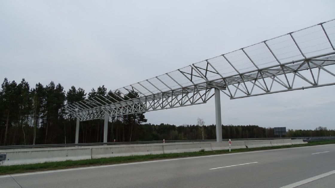 Bramownice dla nietoperzy