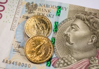 Złoty zareagował. Zaskoczenie po decyzji RPP