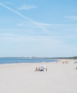 Niesamowite odkrycie nad Bałtykiem. Egzotyczna niespodzianka