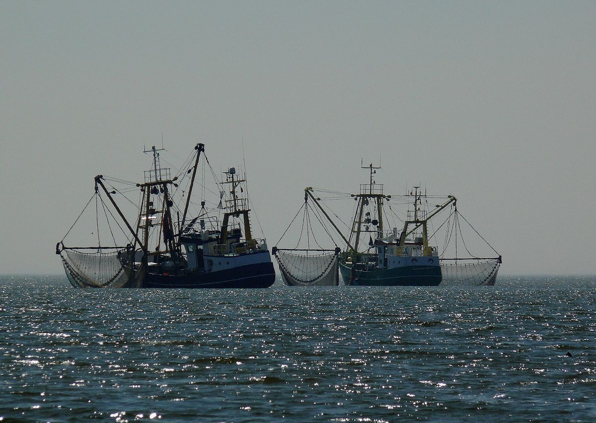 Statki rybaków rosyjskich już nie będą mogły korzystać z islandzkich portów. Przedtem było to możliwe na zasadzie wyjątkowego odstępstwa od przepisów (Wikimedia Commons)