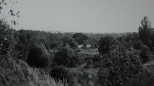Kraków: Miało być pole golfowe, ale mieszkańcy zdecydowali, by Białe Morza były parkiem. W najbliższych tygodniach poznamy jego projekt