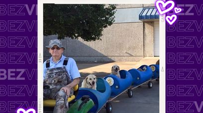 W Teksasie powstał pociąg dla bezdomnych psów. Zwierzęta są zachwycone