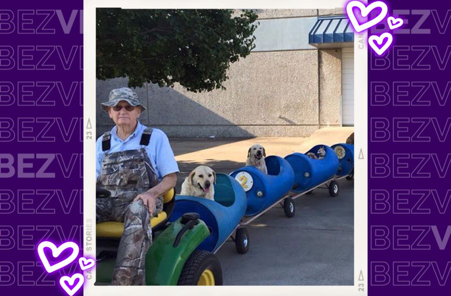 Mieszkaniec Teksasu stworzył pociąg dla bezdomnych psów