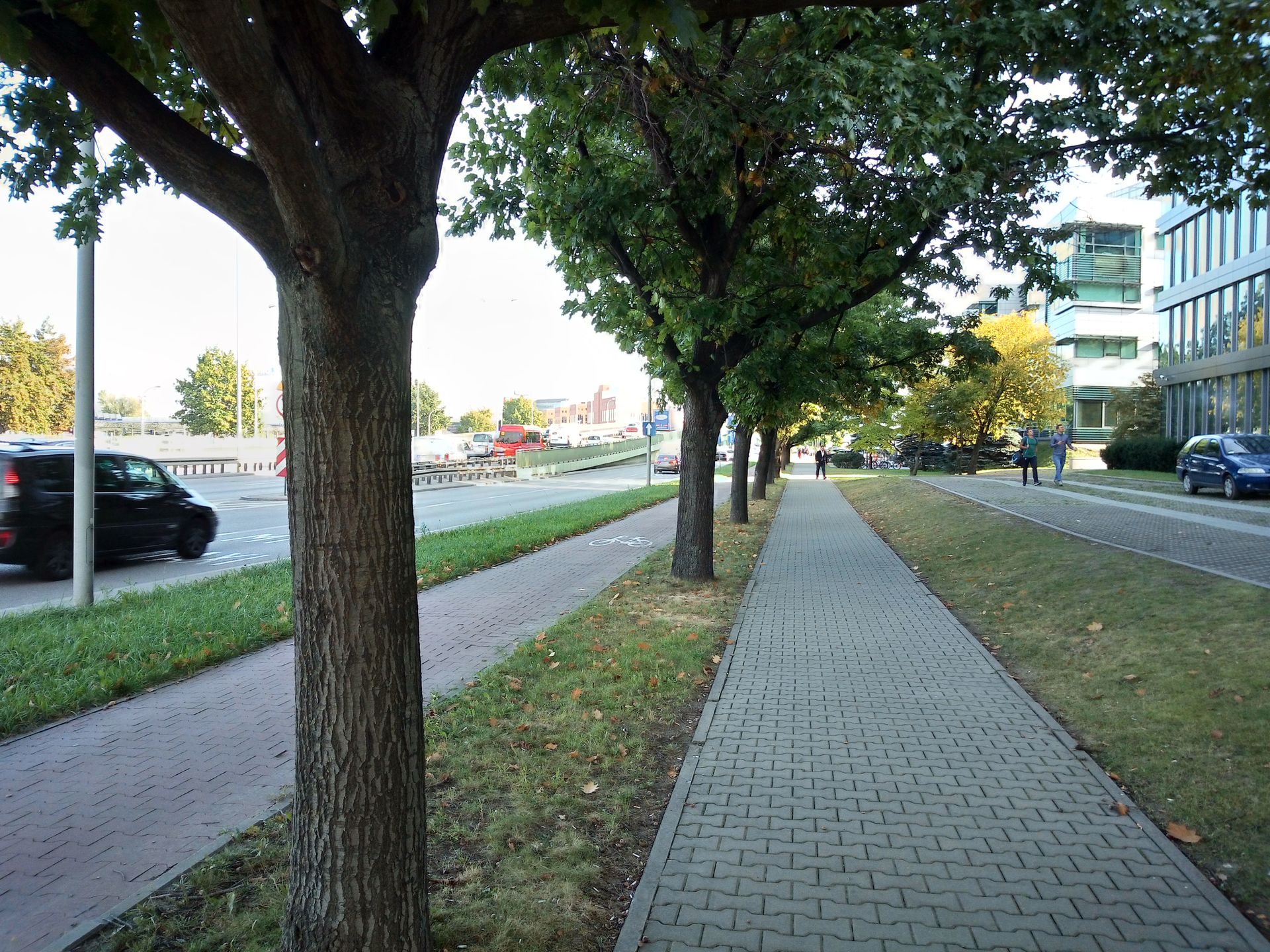Wielki test smartfonów za 500 zł. Sprawdzamy Wiko View Go 15