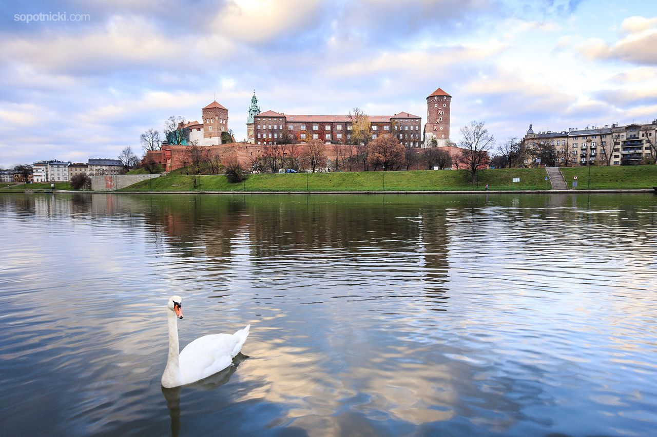 Krakowski Wawel od strony Wisły. Canon EOS 5D Mark IV +  Tokina AT-X 100 mm f/2.8 PRO D FX Macro