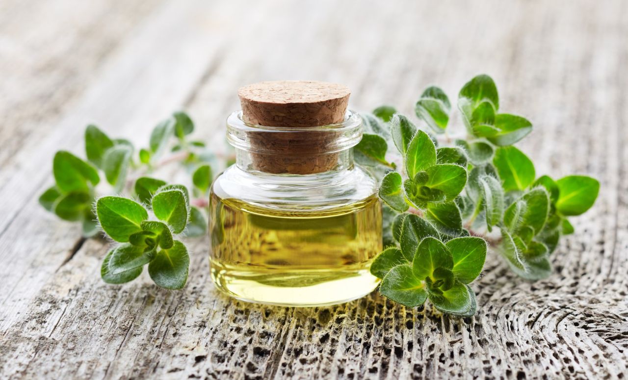 Olejek z oregano dla dzieci - jak stosować i kiedy warto?