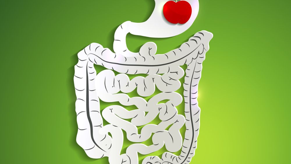 Oczyszczanie jelit - sposoby, dieta