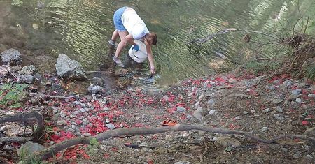 Miał być romantyczny gest, a jest problem. Afera w Baden