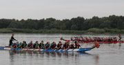 VIII Festiwal Smoczych Łodzi na Zalewie Włocławskim – sportowa rywalizacja i mnóstwo emocji