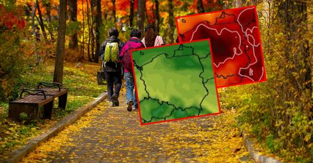 Co przyniesie początek listopada? Prognozy długoterminowe zaskakują
