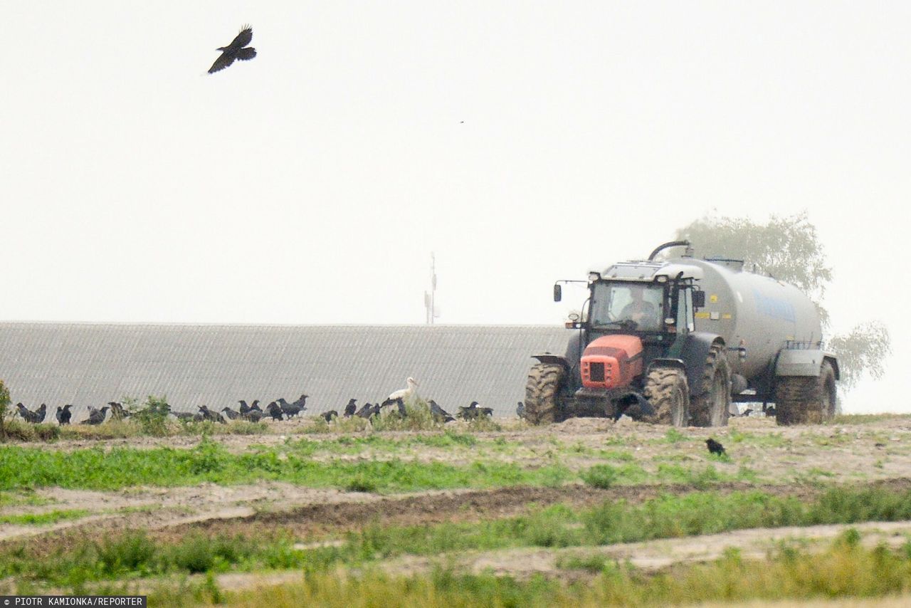 Europa uzależnia się od Rosji. "To nowy gaz"