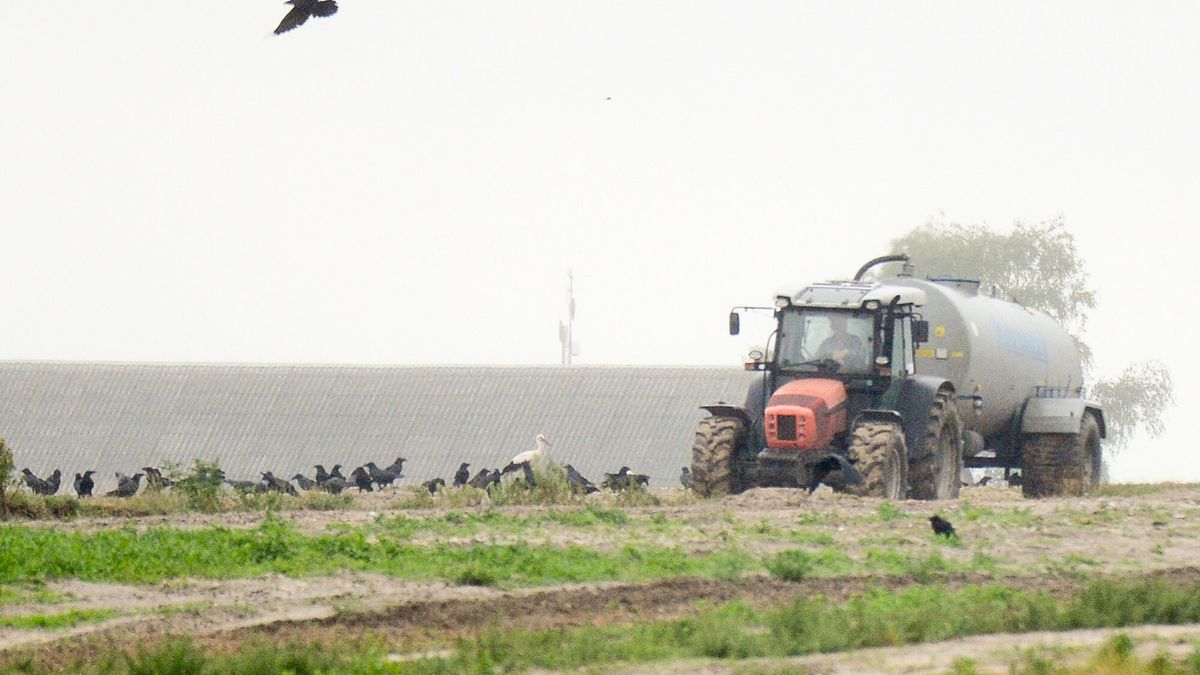Europa uzależnia się od rosyjskich nawozów