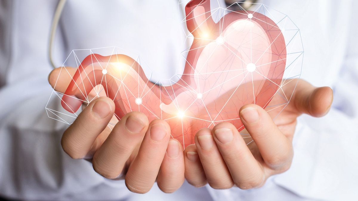 Odźwiernik jest mięśniowym pierścieniem umiejscowionym w dolnej części żołądka.