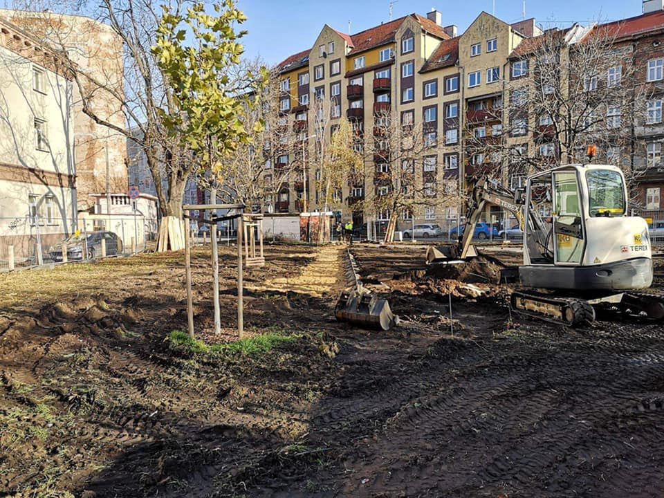 Wrocław. Epidemia nie zatrzymała zielonych inwestycji. Wydano ponad 20 mln zł