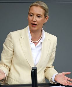 Co się dzieje w Niemczech? Seria zgonów polityków AfD