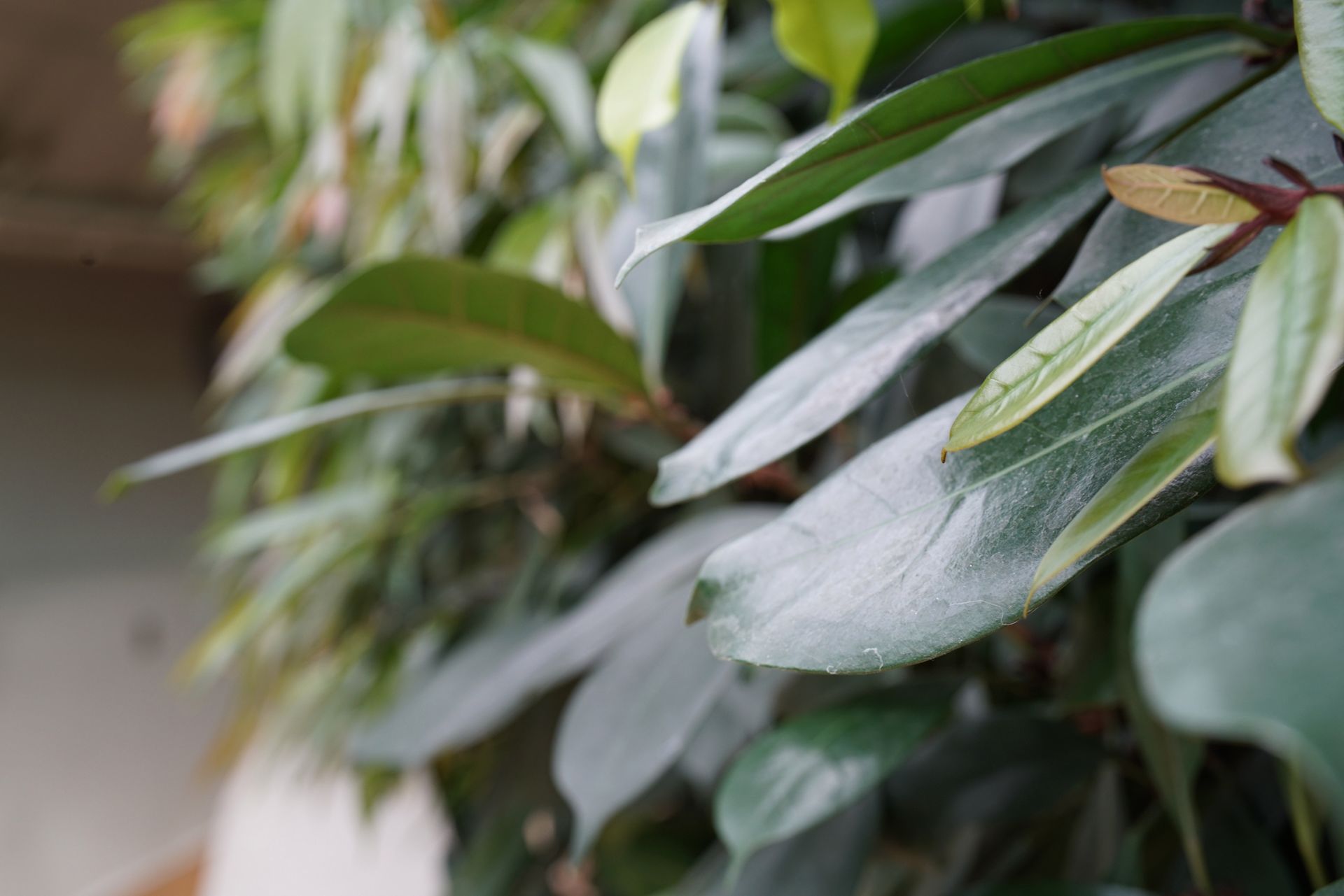 Zeiss Planar T* FE 50 mm f/1.4 ZA - nasze przykładowe zdjęcia 16