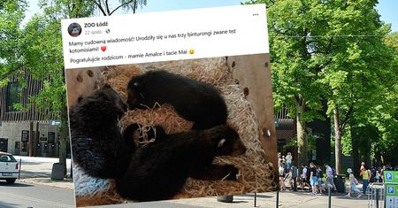 Niezwykłe narodziny w Łodzi. "Mamy cudowną wiadomość"