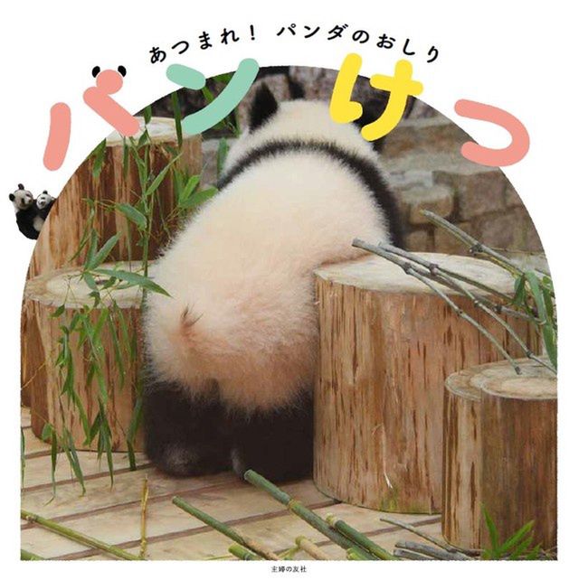 Książka o tyłkach pand wyprzedaje się w Japonii