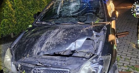 Pijany Kolumbijczyk uderzył w płot. Zostanie deportowany