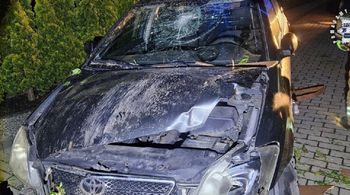 Pijany Kolumbijczyk uderzył w płot. Zostanie deportowany