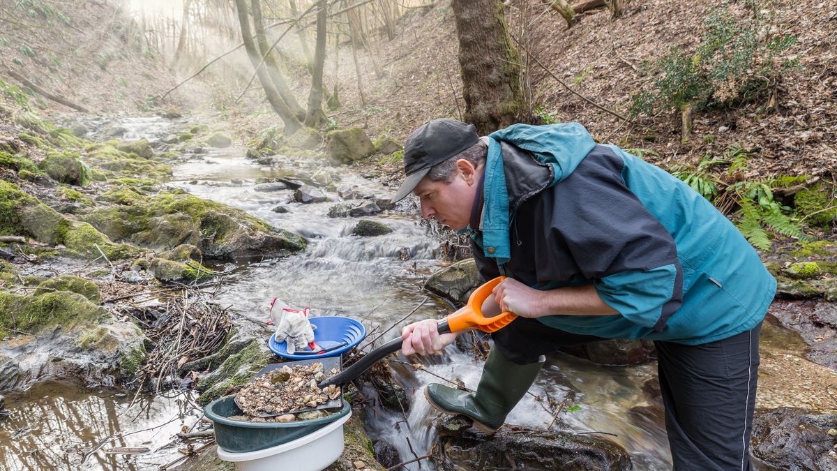 Gorączka złota w Niemczech. Ludzie jadą nawet 600 kilometrów, żeby znaleźć kruszec (zdjęcie ilustracyjne)