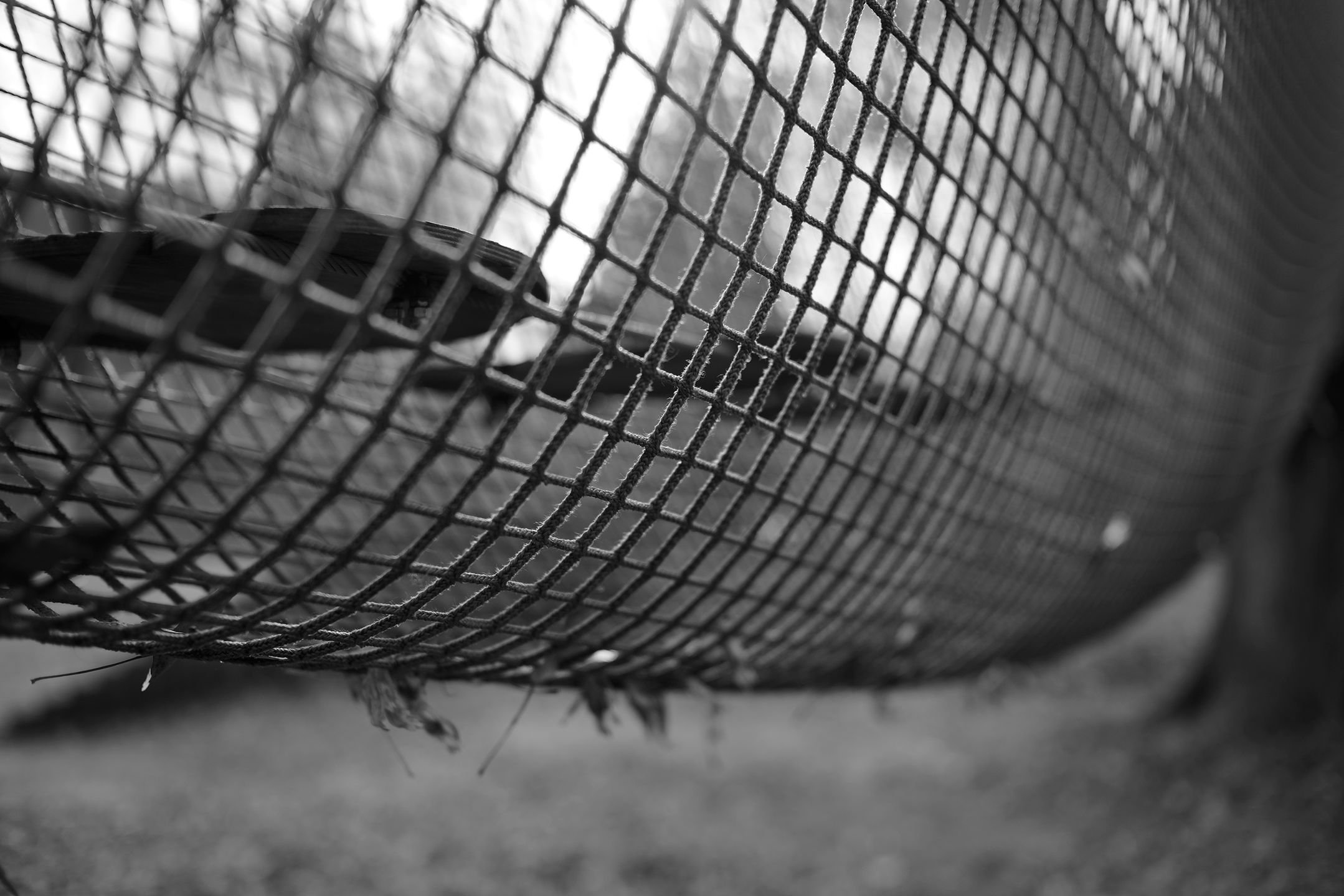 Niewielki może bardzo dużo! Voigtländer Nokton 50 mm f/1,5 16