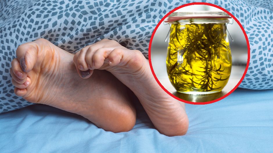 Rozmaryn ma wiele cennych właściwości zdrowotnych