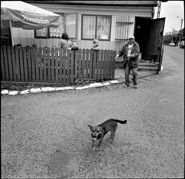 „Dog Stories" - pieskie życie na czarno-białych fotografiach Roberta Kresy 23