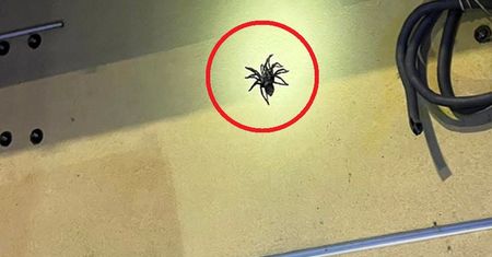 Strażak chwycił za aparat. Groza w Nowym Dworze Mazowieckim