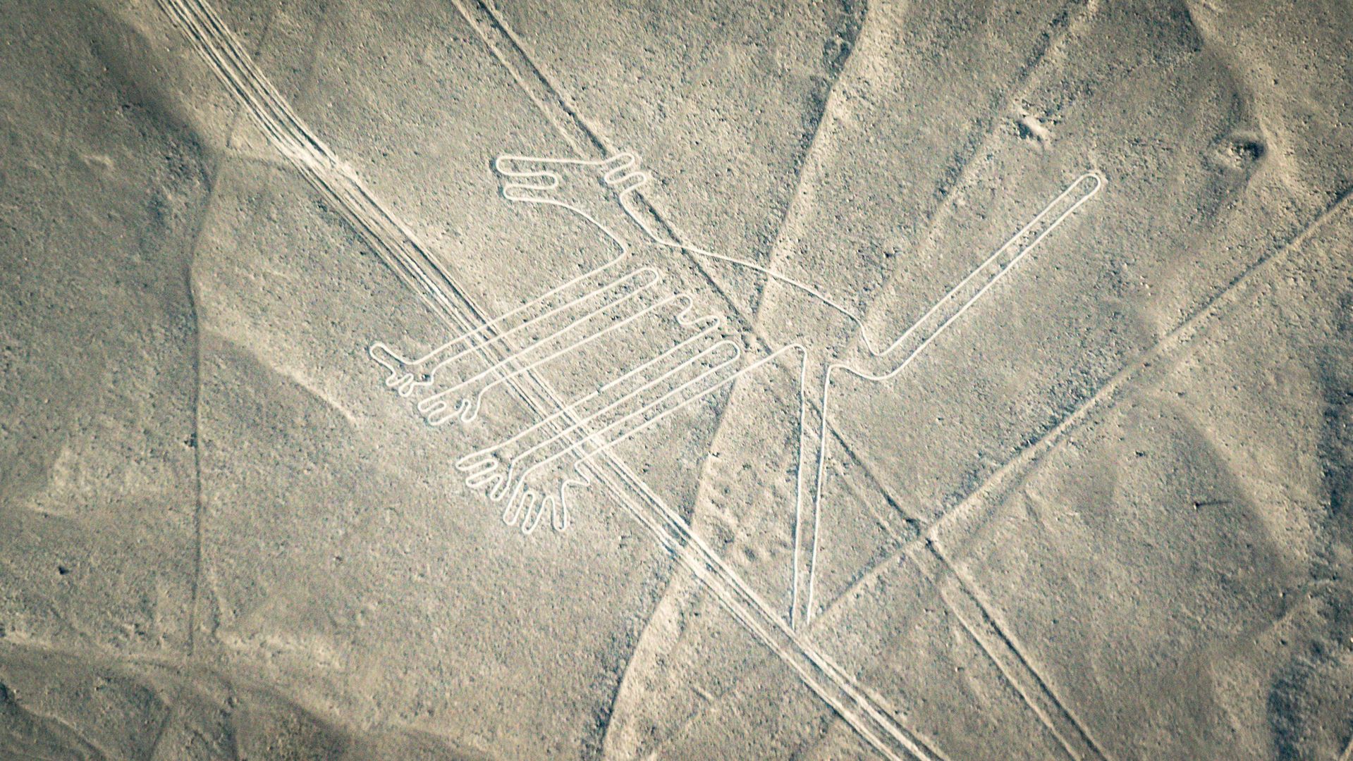 Jeden z rysunków w dolinie Nazca