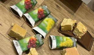 Siatka sabotażystów rozbita w Ukrainie. Zwerbowano ich w sieci