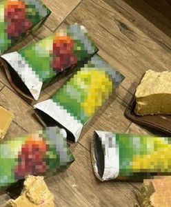 Siatka sabotażystów rozbita w Ukrainie. Zwerbowano ich w sieci