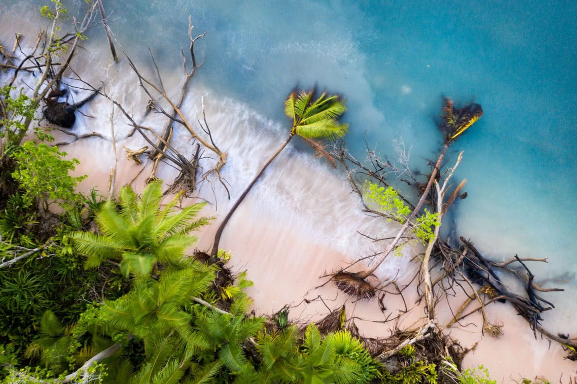 Enviromental Photography Of The Year 2019. Tak wygląda nasza planeta 2