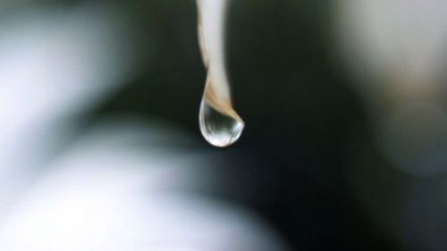 Ekologiczne odciski 1