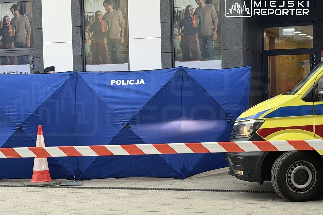 25-latka wyrzuciła psa przez okno i wyskoczyła z 13. piętra. Tragedia w Warszawie