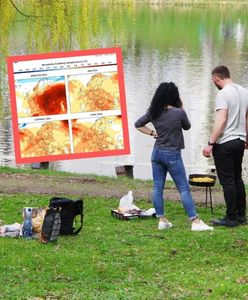 "Szalony kwiecień". Aż trudno uwierzyć w te prognozy