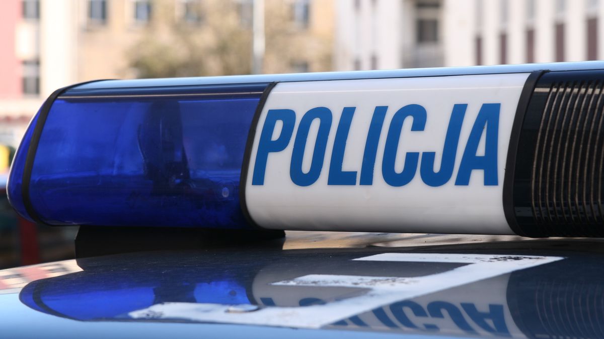 Policja poszukuje sprawcy zniszczenia figurki