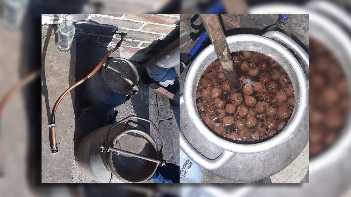 zabezpieczona aparatura do destylacji, zacier oraz gotowy już produkt