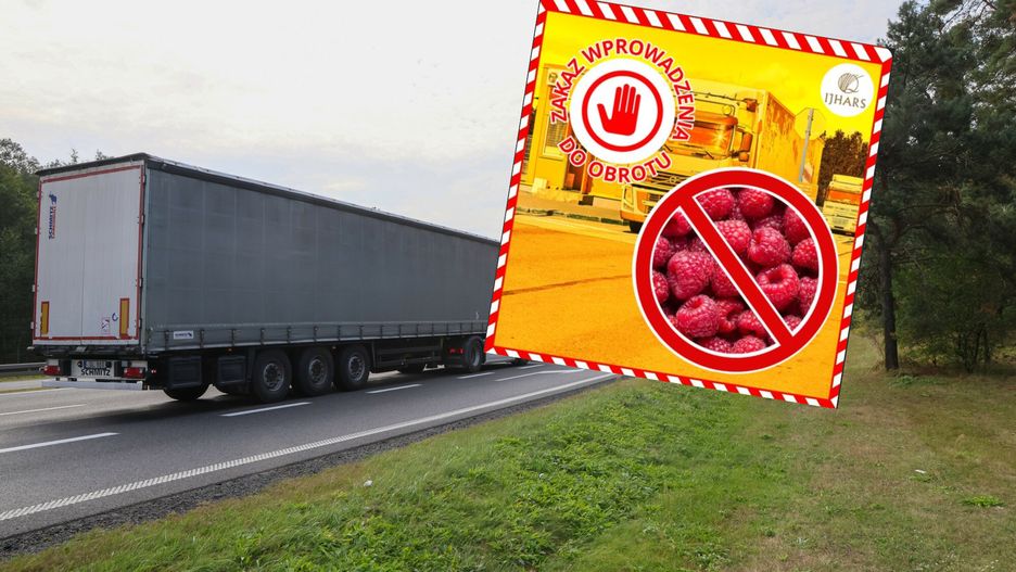 Transport malin mrożonych z Ukrainy zatrzymany