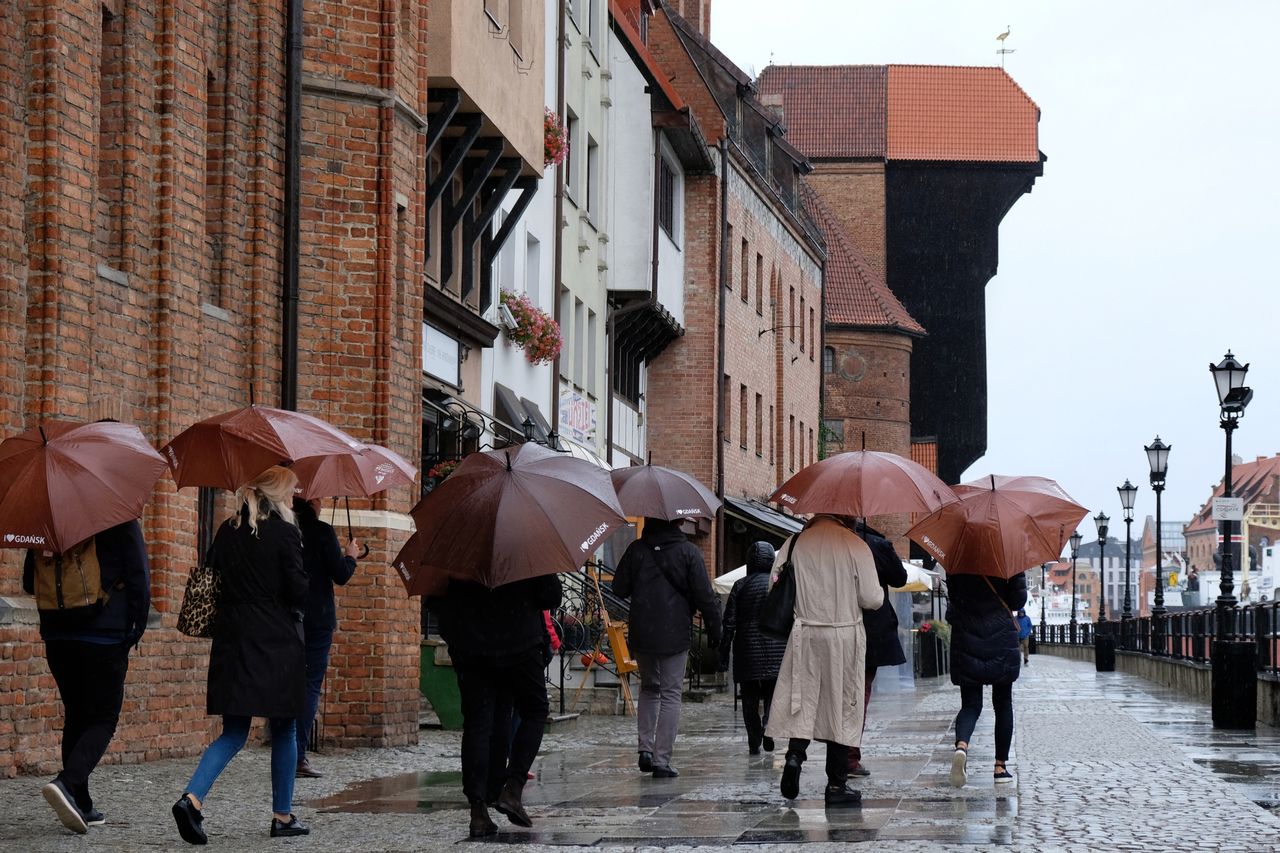 Podróżują w konkretnym celu. Zwiedzanie i wypoczynek nie są najważniejsze