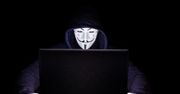 Cyberataki na Polskę. Groźne narzędzie przestępców zlikwidowane