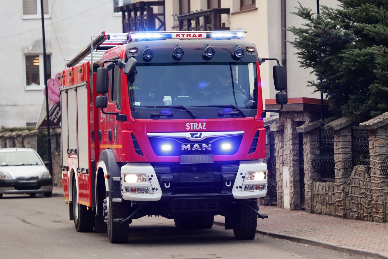 Pożar miejscowości Caców pod Jędrzejowem. Ogień na mokradłach i torfowisku