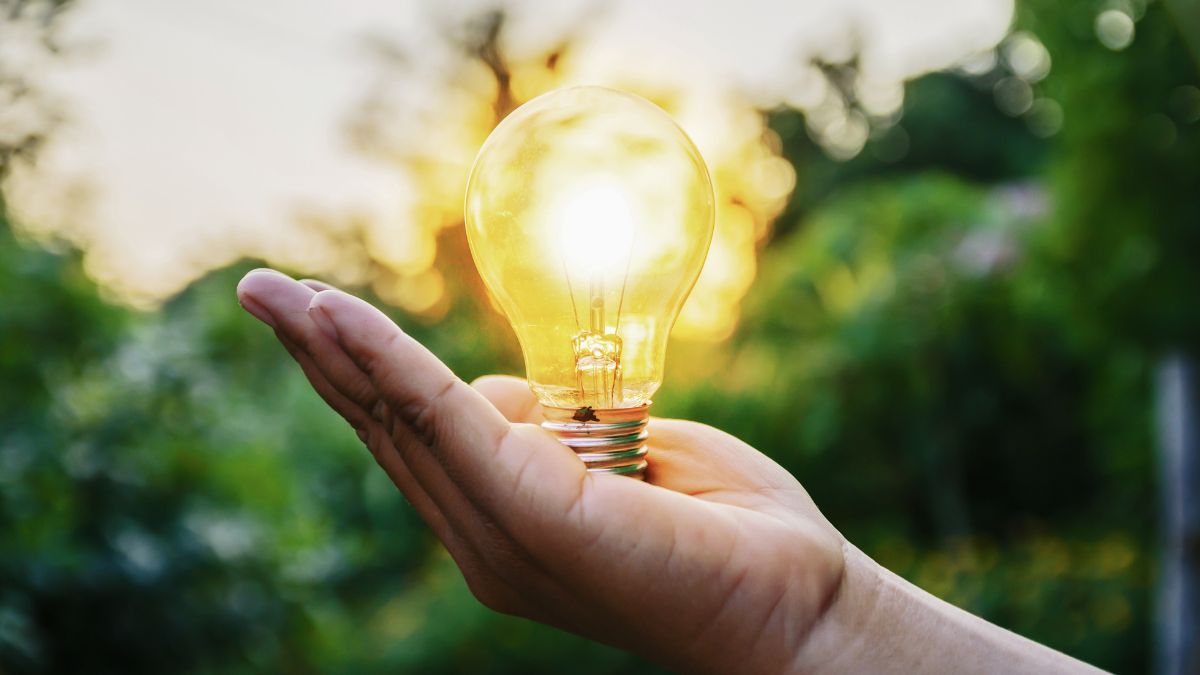 Naukowcy stworzyli roślinę, która generuje prąd 