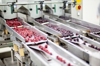 Upadły zakład przetwórczy idzie pod młotek. Cena spadła o 5 mln zł