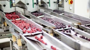 Upadły zakład przetwórczy idzie pod młotek. Cena spadła o 5 mln zł