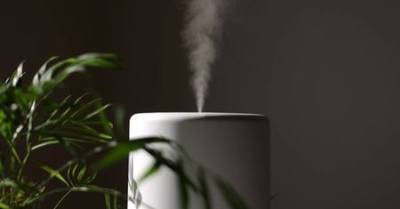 Nawilżacze powietrza – jak działają i dlaczego są przydatne?