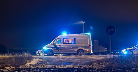 BMW uderzyło w łosia pod Kunowem. Dwie osoby trafiły do szpitala