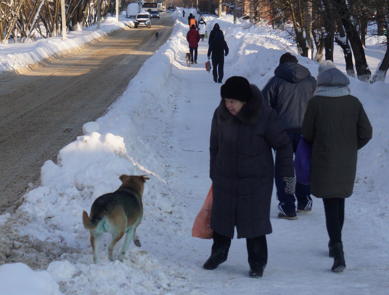 'Freezing in Podolsk: Citizens endure winter without heat as authorities choose police over aid'