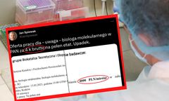 Absurdalna oferta pracy. Trudno uwierzyć, jakie zarobki proponują